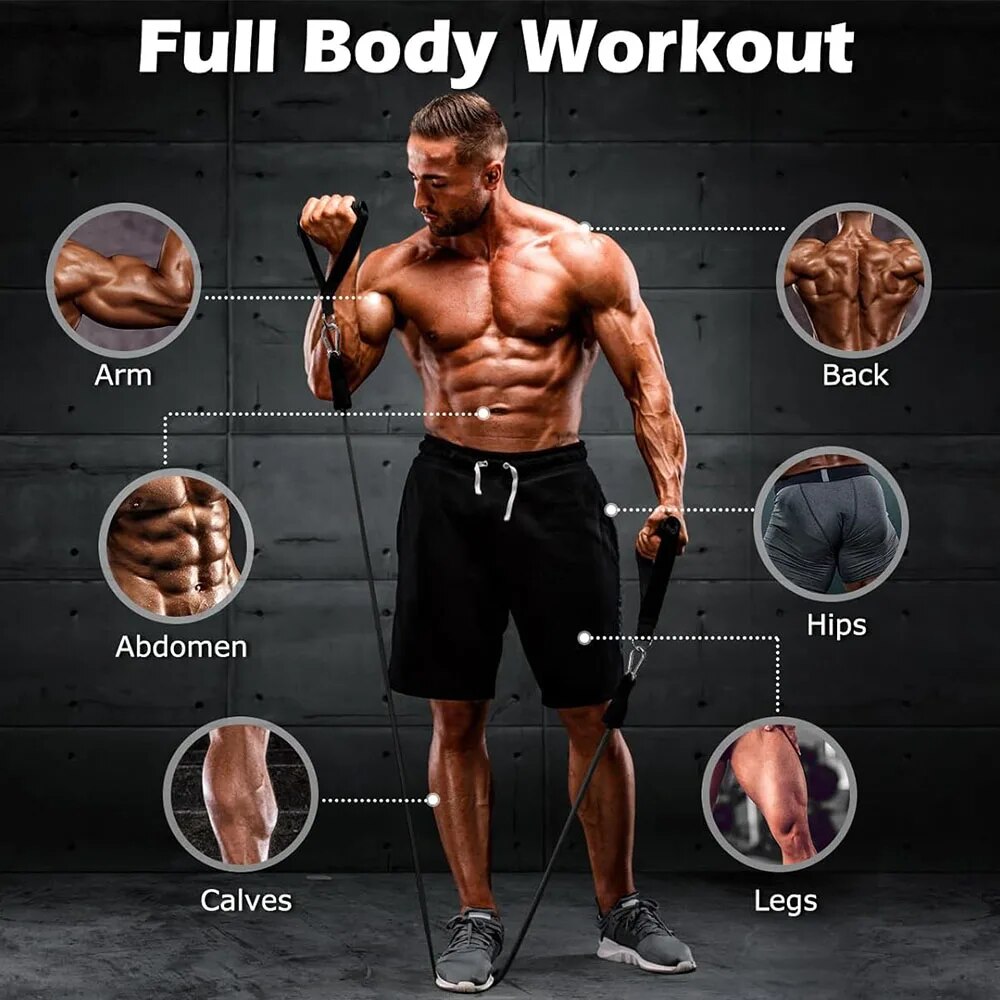 남성용 및 여성용 운동용 탄성 밴드 세트, 홈짐 및 피 - Home Gym Equipment Set 리뷰 및 가격