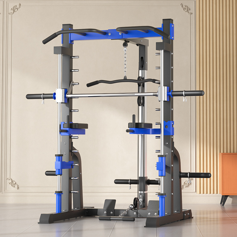 다기능 가정용 종합 트레이닝 장비 간트리 프레임 버드  - Home Gym Equipment Set 리뷰 및 가격